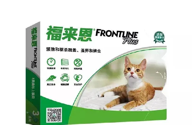 铲屎官不可不知的猫咪驱虫药知识 | 宠物猫病虫害防治