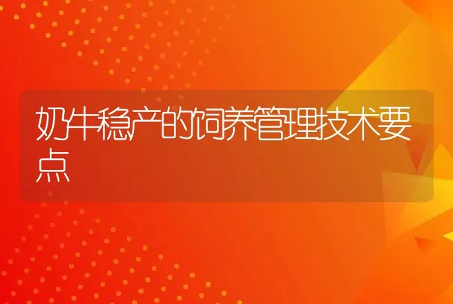 奶牛稳产的饲养管理技术要点 | 家畜养殖