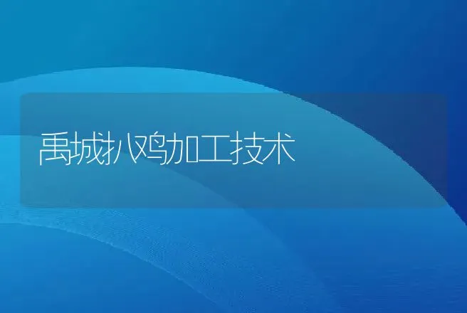 珍珠鸡的饲养管理技术 | 动物养殖