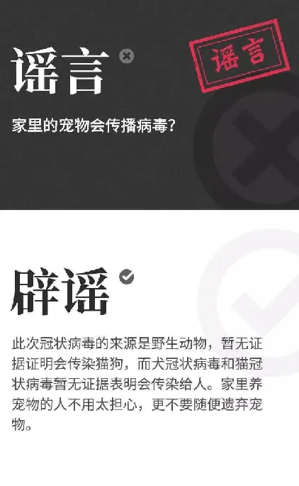 部分地区以新型冠状病毒为由捕杀猫狗？ | 宠物新闻资讯