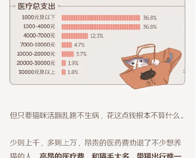 中国人养猫行为调查报告：来看看关于养猫的那些秘闻趣事 | 宠物新闻资讯