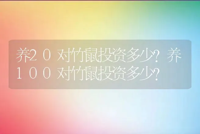 养20对竹鼠投资多少?养100对竹鼠投资多少? | 养殖致富