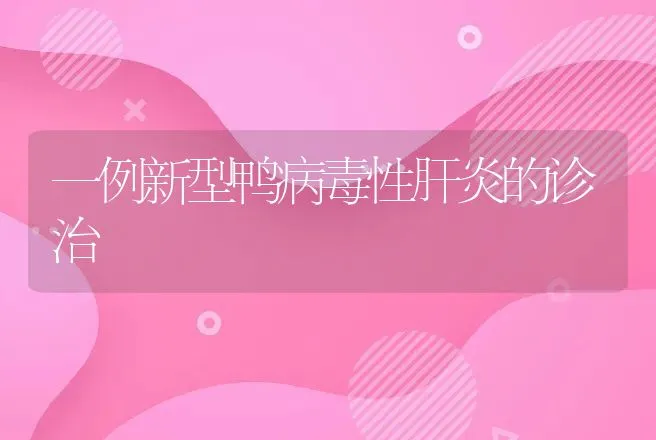 一例新型鸭病毒性肝炎的诊治 | 家禽养殖