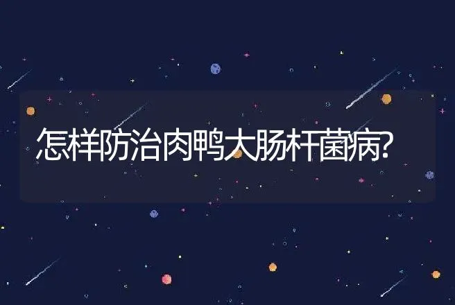 雏鸡运输应注意哪些要点 | 家禽养殖