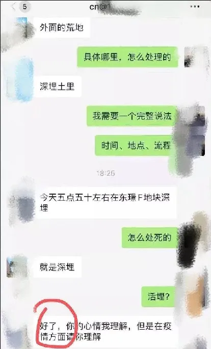 主人被隔离检查，社区把猫活埋了！ | 宠物新闻资讯