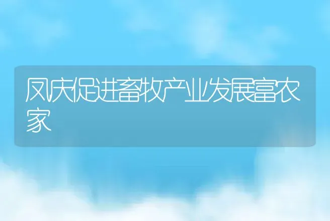 凤庆促进畜牧产业发展富农家 | 养殖致富