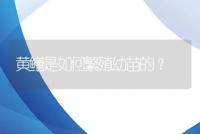 黄鳝是如何繁殖幼苗的？ | 动物养殖