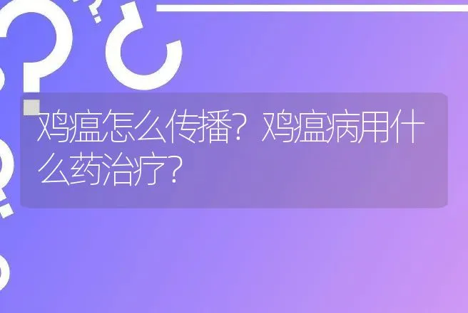 鸡瘟怎么传播？鸡瘟病用什么药治疗？ | 兽医知识大全