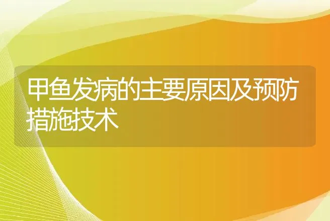 甲鱼发病的主要原因及预防措施技术 | 动物养殖