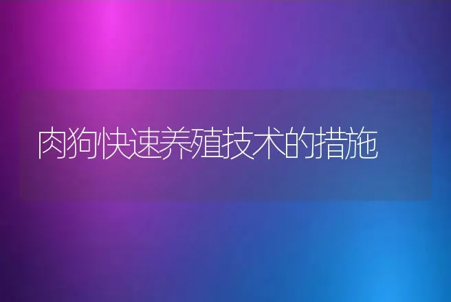 肉狗快速养殖技术的措施 | 动物养殖