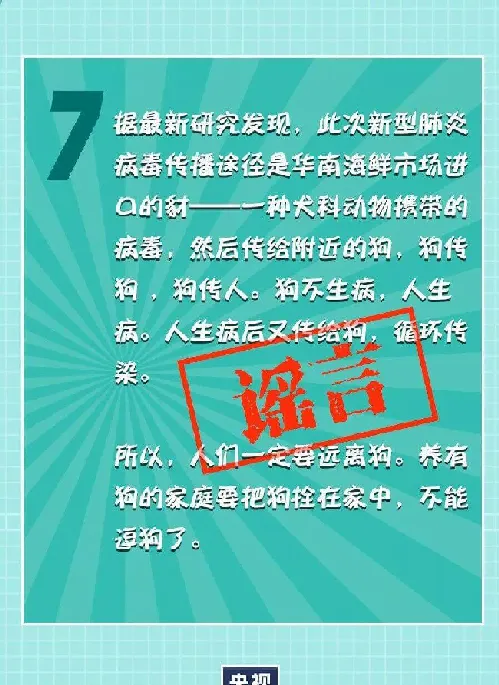 部分地区以新型冠状病毒为由捕杀猫狗？ | 宠物新闻资讯