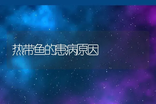 如何提高鹌鹑的种蛋孵化率 | 动物养殖