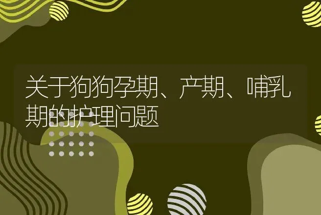 关于狗狗孕期、产期、哺乳期的护理问题 | 动物养殖