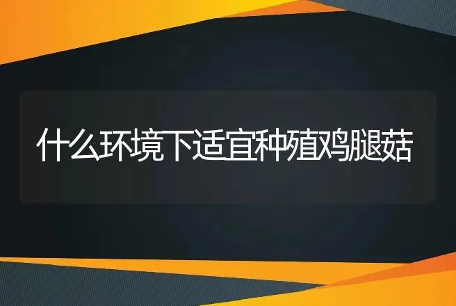 怎样饲养管理比利时小牧羊犬 | 动物养殖