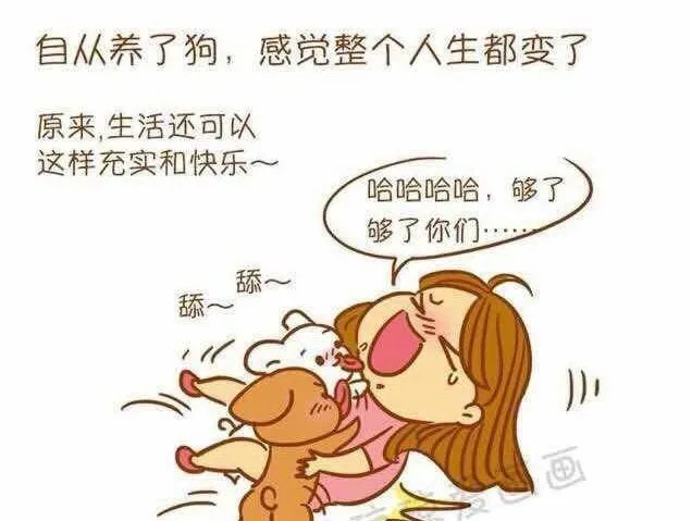 只有养过狗的才会明白，它如此重要！ | 宠物新闻资讯