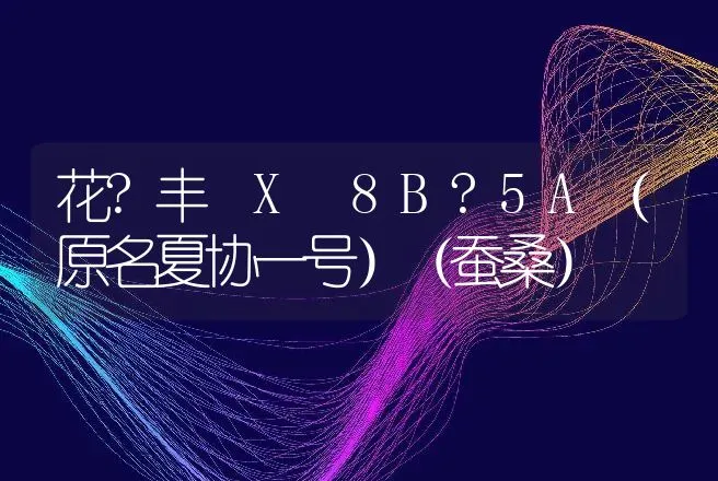 花?丰 X 8B?5A（原名夏协一号）（蚕桑） | 动物养殖