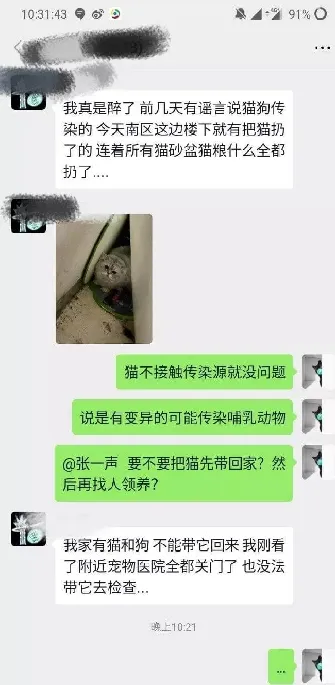 部分地区以新型冠状病毒为由捕杀猫狗？ | 宠物新闻资讯