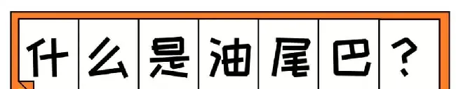 夏天到了!“油尾巴”也开始出来害猫了 | 宠物猫病虫害防治