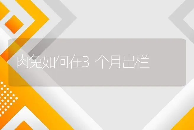 鱼病春不防　一年算白忙 | 动物养殖