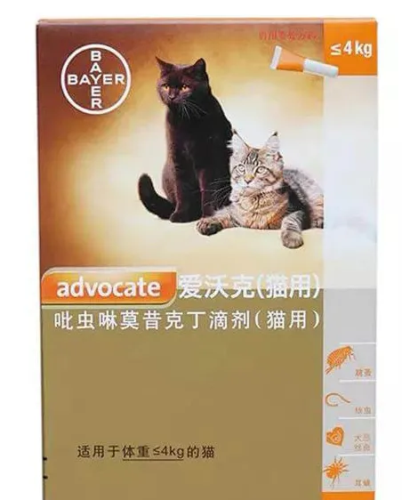 铲屎官不可不知的猫咪驱虫药知识 | 宠物猫病虫害防治