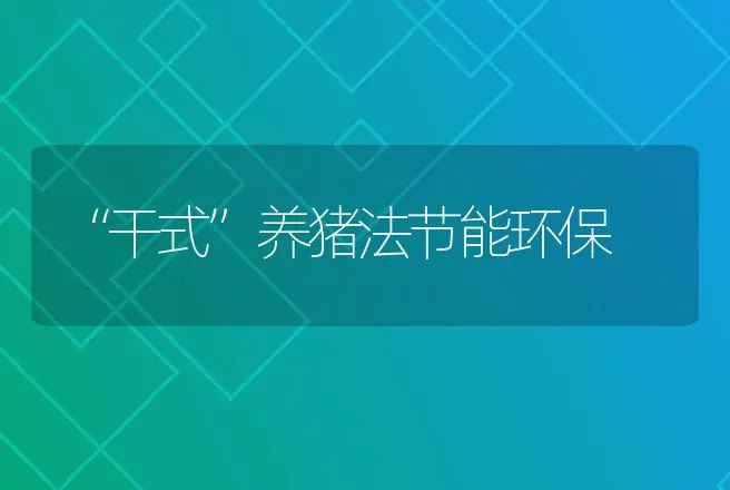 “干式”养猪法节能环保 | 动物养殖