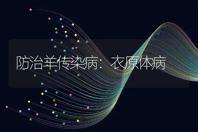 防治羊传染病：衣原体病 | 动物养殖