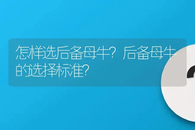 怎样选后备母牛？后备母牛的选择标准？ | 家畜养殖