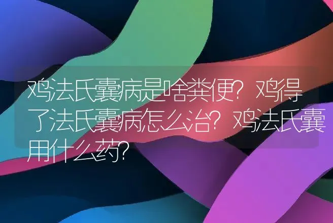 鸡法氏囊病是啥粪便？鸡得了法氏囊病怎么治？鸡法氏囊用什么药？ | 兽医知识大全