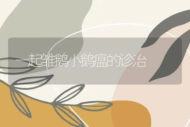 一起雏鹅小鹅瘟的诊治 | 特种养殖