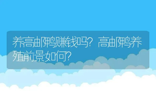 养高邮鸭赚钱吗？高邮鸭养殖前景如何？ | 养殖致富