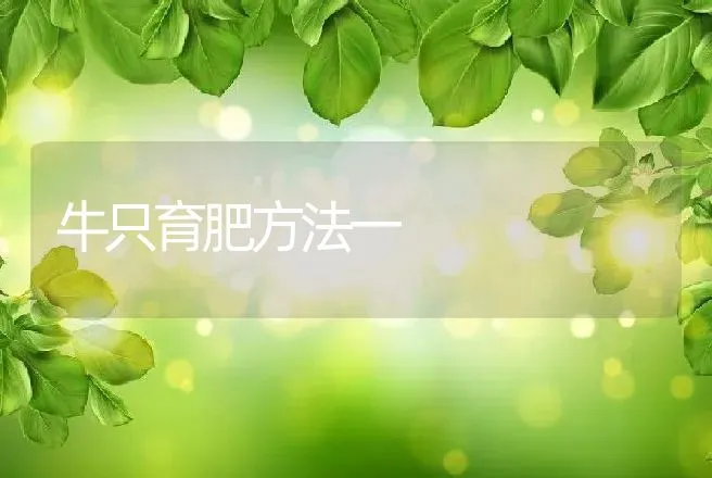 牛只育肥方法一 | 动物养殖