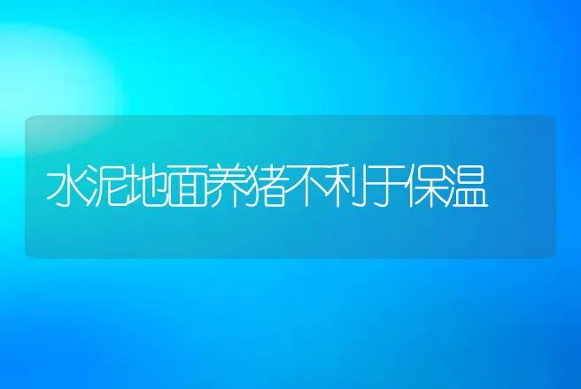 水泥地面养猪不利于保温 | 动物养殖