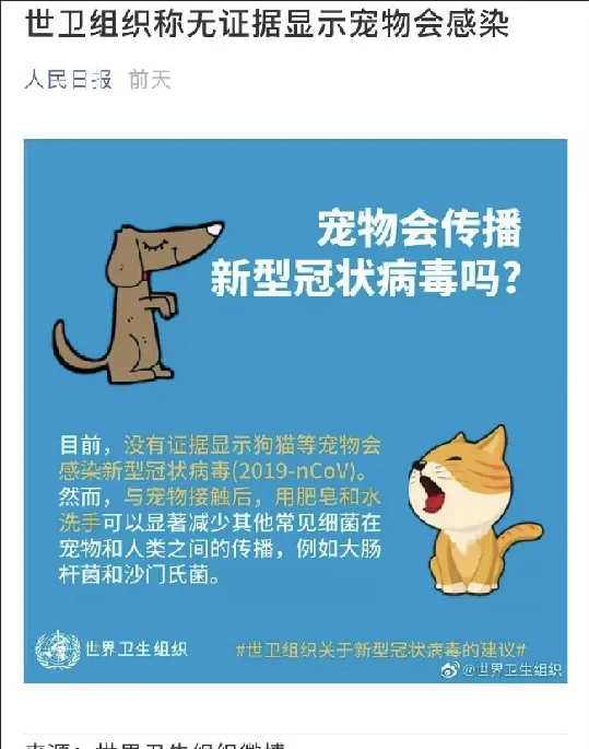 主人被隔离检查，社区把猫活埋了！ | 宠物新闻资讯