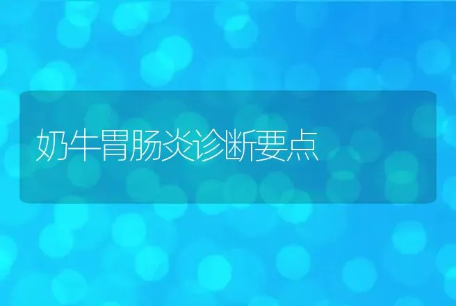 奶牛胃肠炎诊断要点 | 家畜养殖