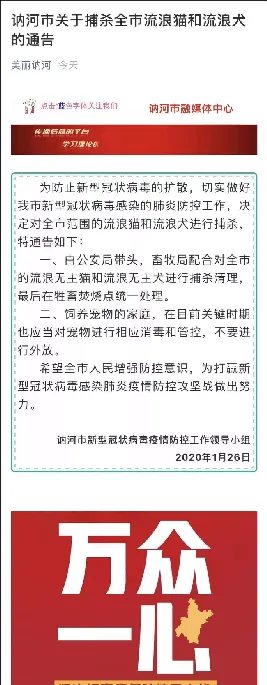 部分地区以新型冠状病毒为由捕杀猫狗？ | 宠物新闻资讯