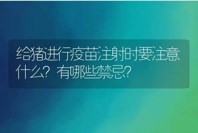 给猪进行疫苗注射时要注意什么？有哪些禁忌？ | 家畜养殖