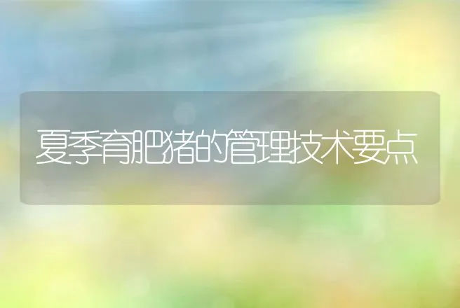 夏季育肥猪的管理技术要点 | 动物养殖