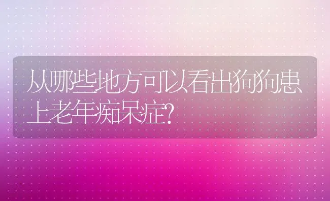 从哪些地方可以看出狗狗患上老年痴呆症？ | 宠物猫