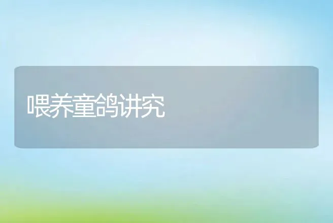 养鱼稻田怎样施农药 | 动物养殖