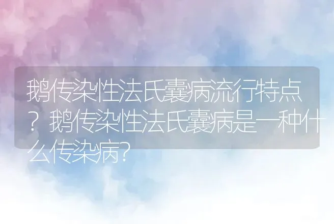 鹅传染性法氏囊病流行特点？鹅传染性法氏囊病是一种什么传染病？ | 兽医知识大全