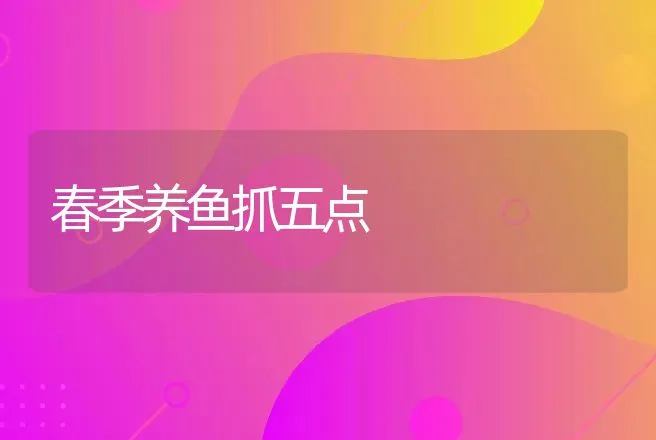 狗狗多大时想结婚 | 动物养殖