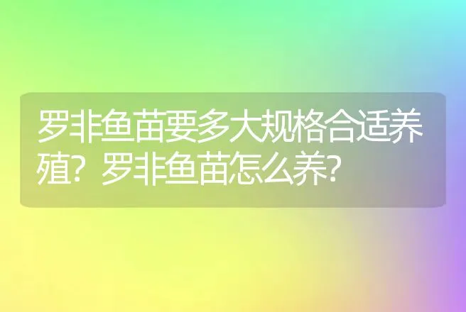 罗非鱼苗要多大规格合适养殖？罗非鱼苗怎么养？ | 水产知识