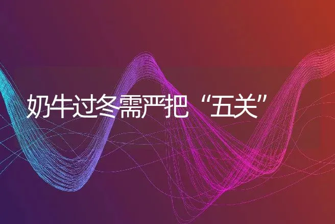 奶牛过冬需严把“五关” | 动物养殖