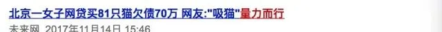 网友见金毛犬被打就炸毛,其实是宠物经济学在作怪 | 宠物新闻资讯