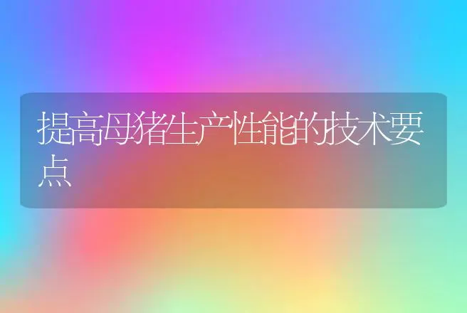 提高母猪生产性能的技术要点 | 动物养殖