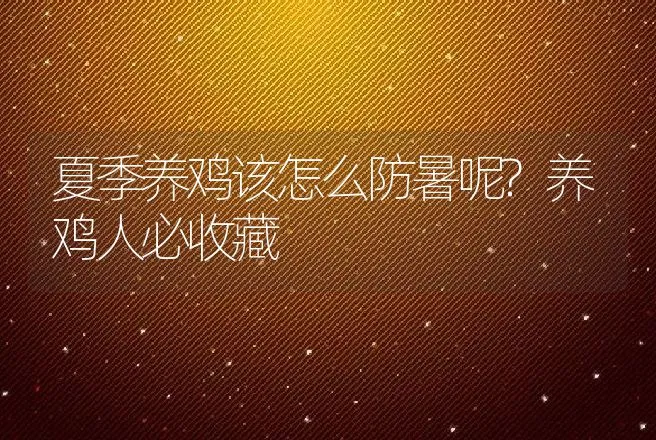 夏季养鸡该怎么防暑呢?养鸡人必收藏 | 家禽养殖