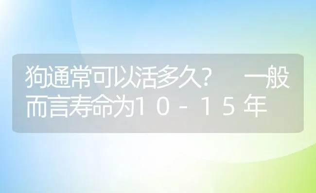 狗通常可以活多久？ 一般而言寿命为10-15年 | 宠物猫