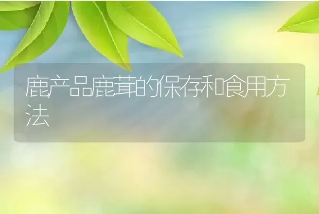 鹿产品鹿茸的保存和食用方法 | 动物养殖