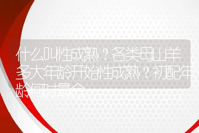 什么叫性成熟？各类母山羊多大年龄开始性成熟？初配年龄何时最合 | 动物养殖