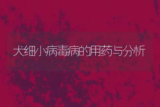 犬细小病毒病的用药与分析 | 动物养殖